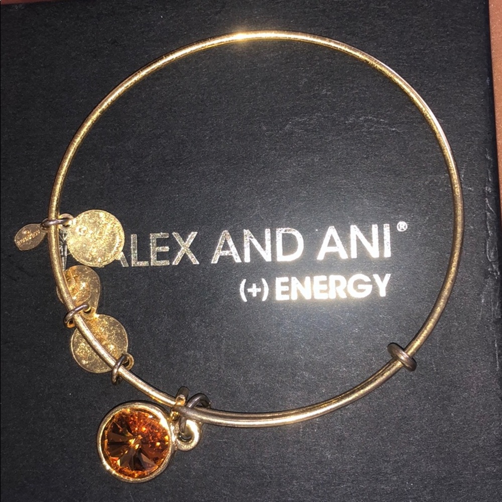 ALEX AND ANI BRACELET